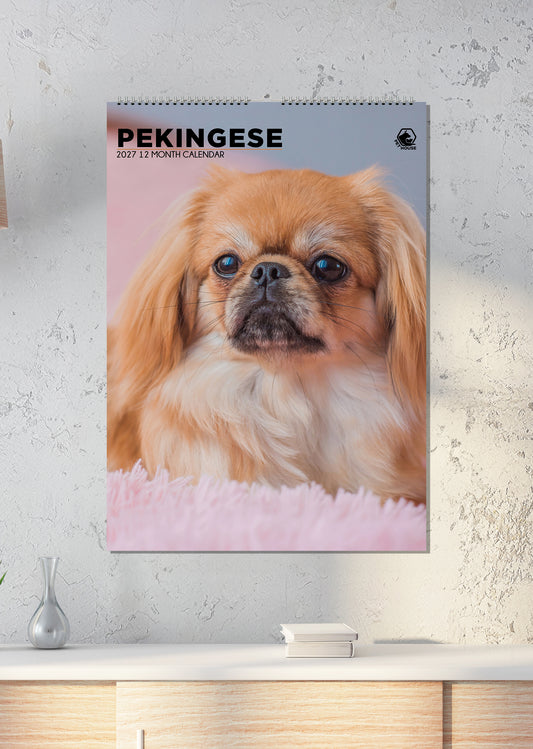 Pekingese - A3 Calendar 2027