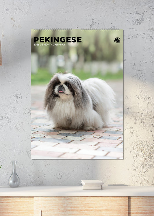 Pekingese - A3 Calendar 2026