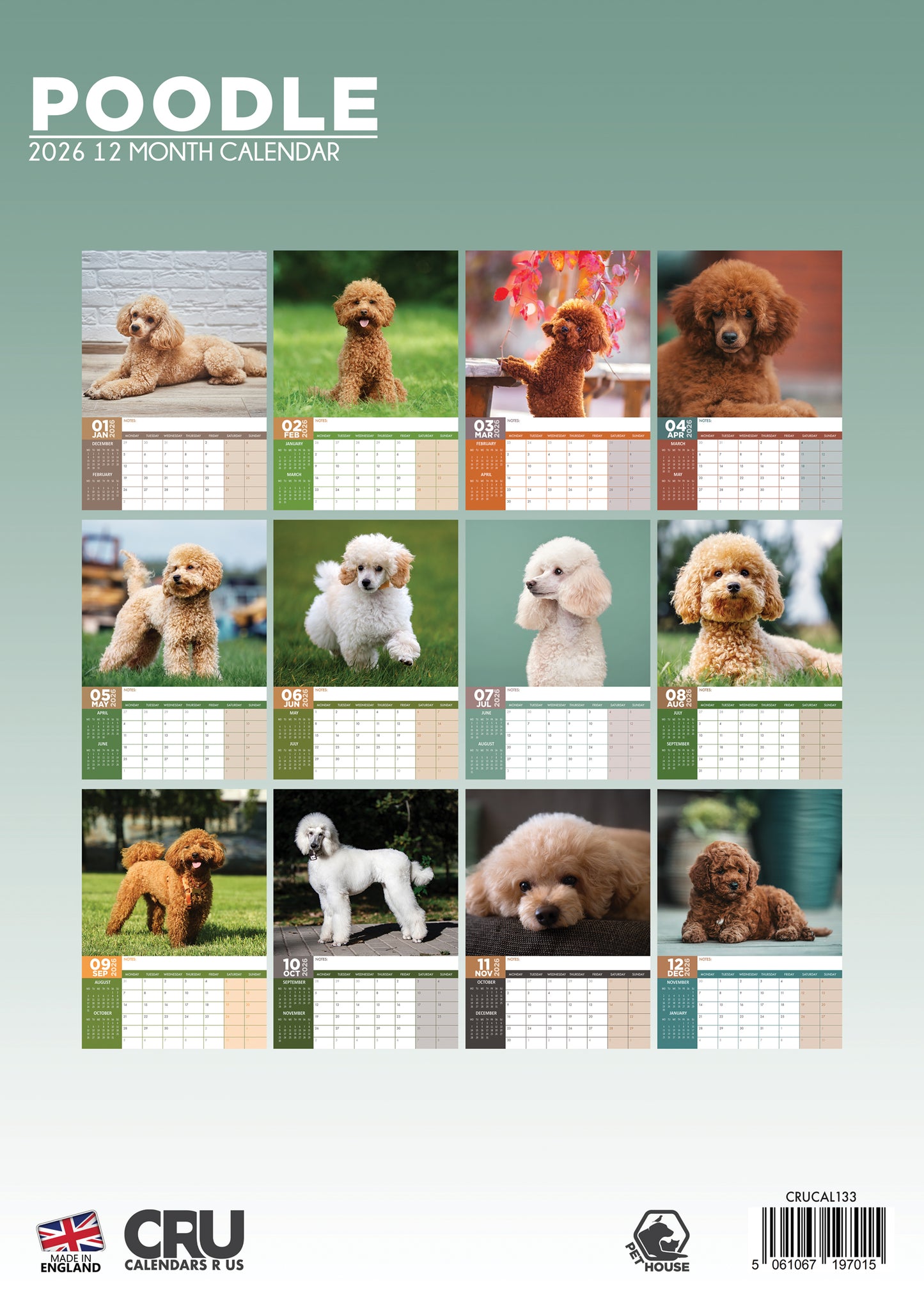 Poodle - A3 Calendar 2026