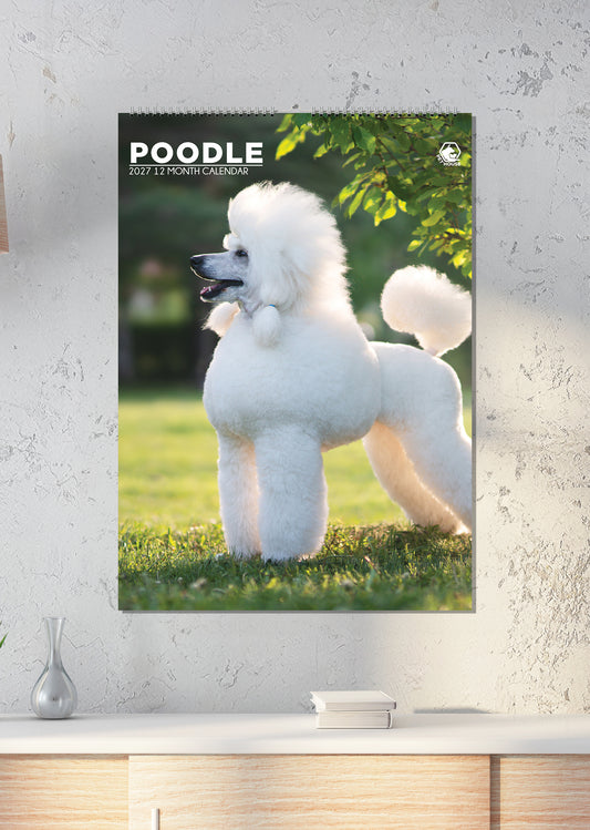 Poodle - A3 Calendar 2027