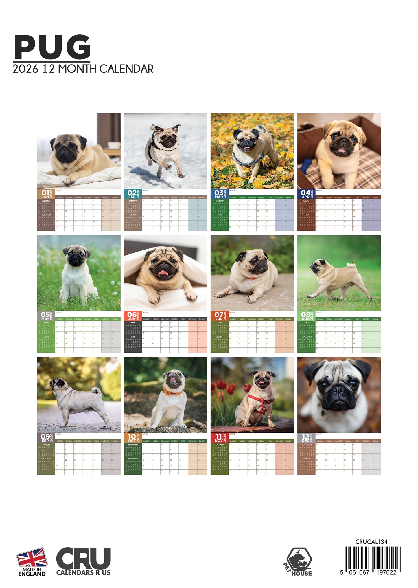 Pug - A3 Calendar 2026
