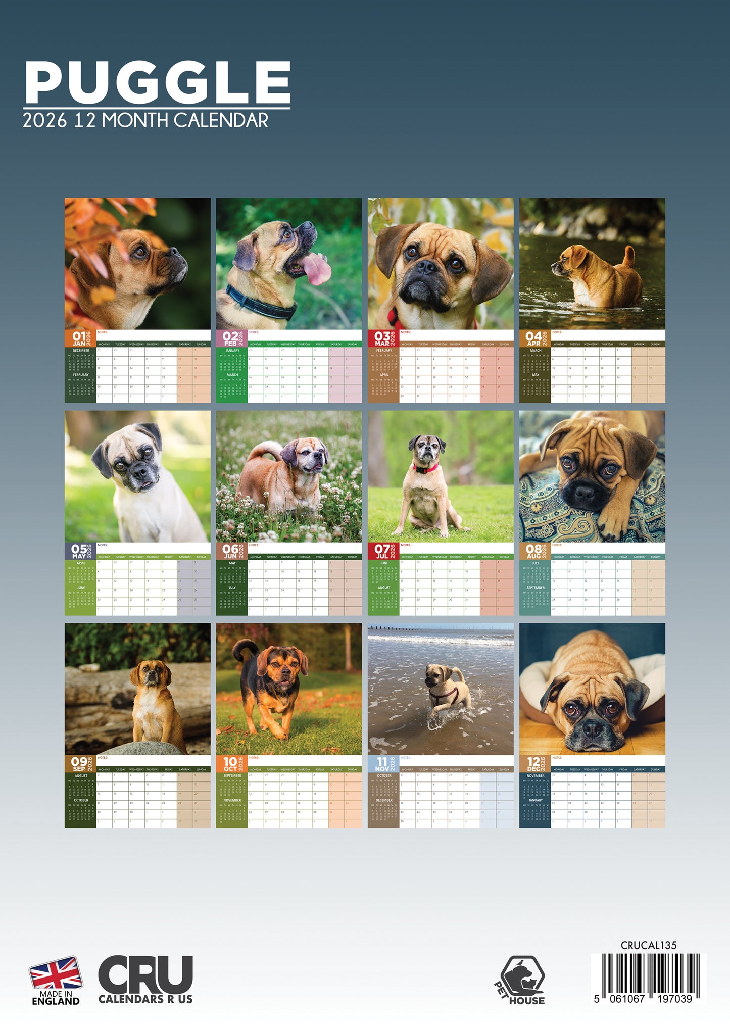 Puggle - A3 Calendar 2026