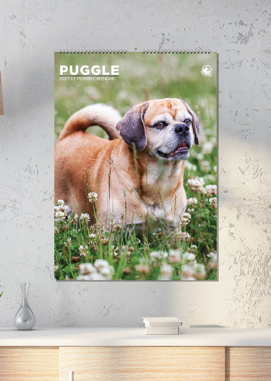Puggle - A3 Calendar 2027
