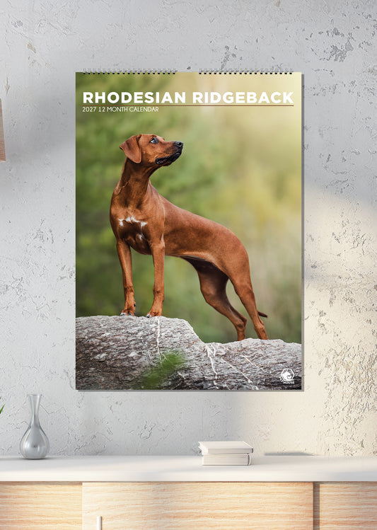 Rhodesian Ridgeback - A3 Calendar 2027