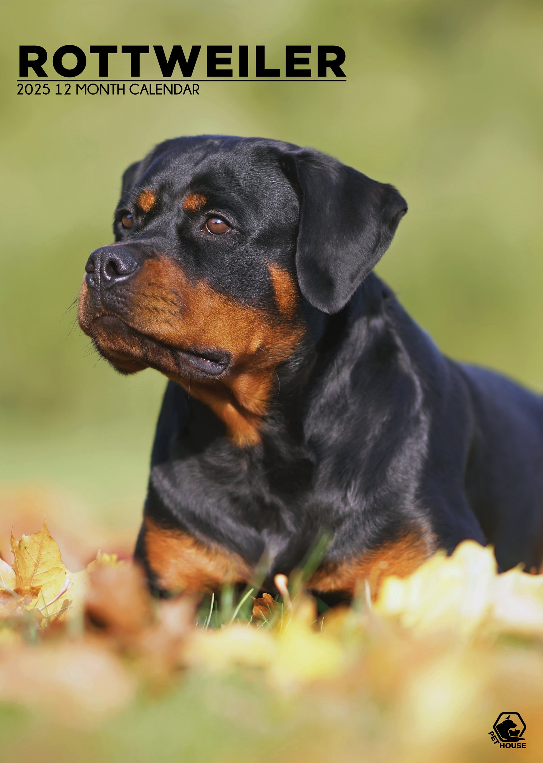 Rottweiler Calendar 2025 CalendarsRus