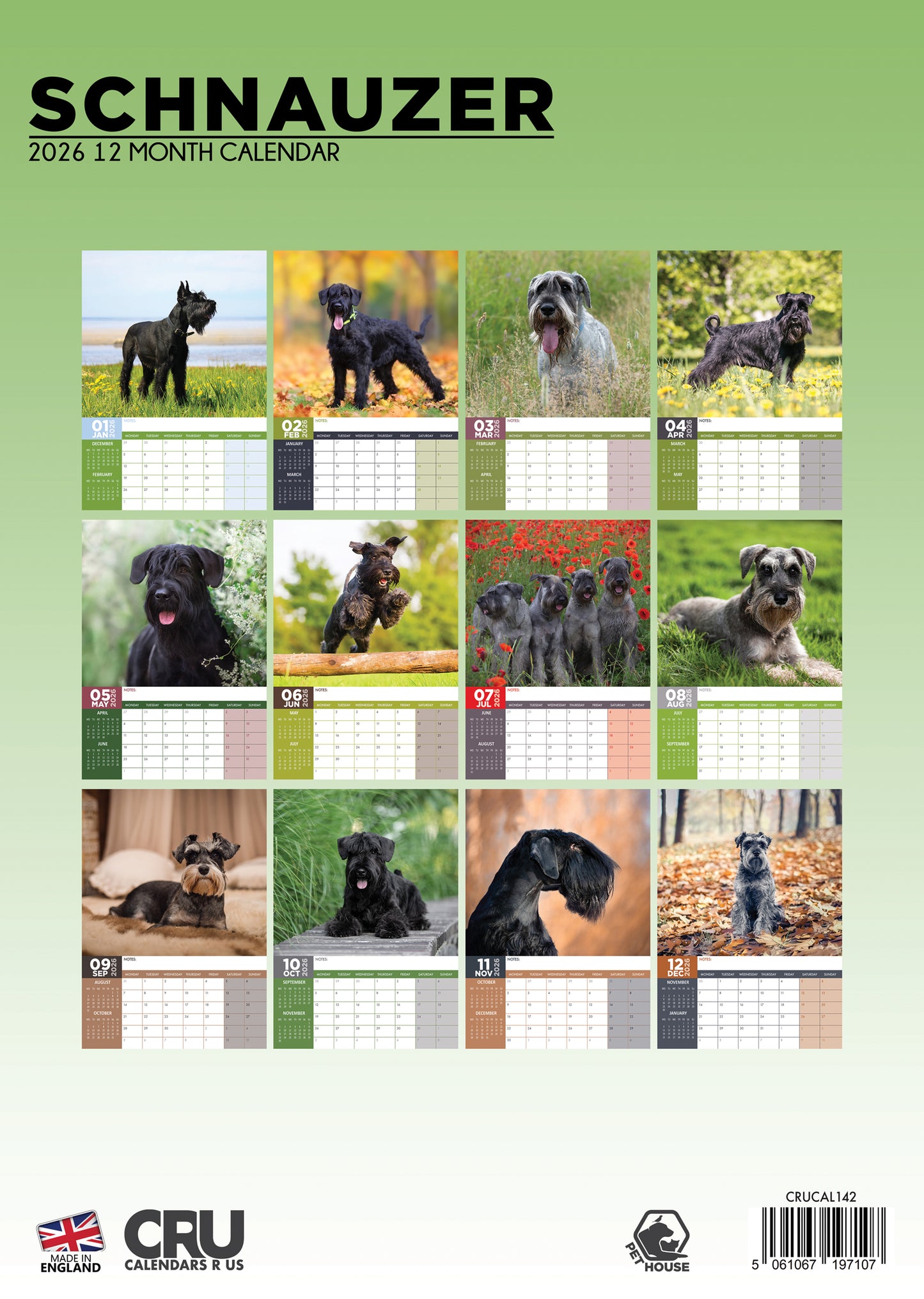 Schnauzer - A3 Calendar 2026