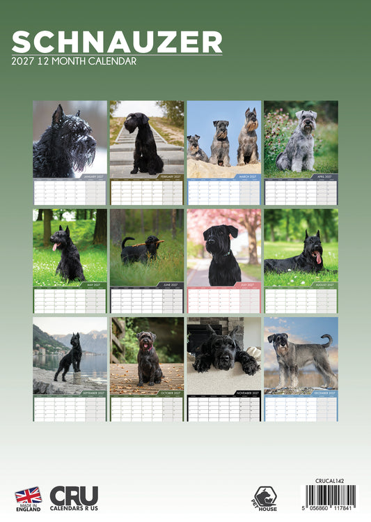 Schnauzer - A3 Calendar 2027