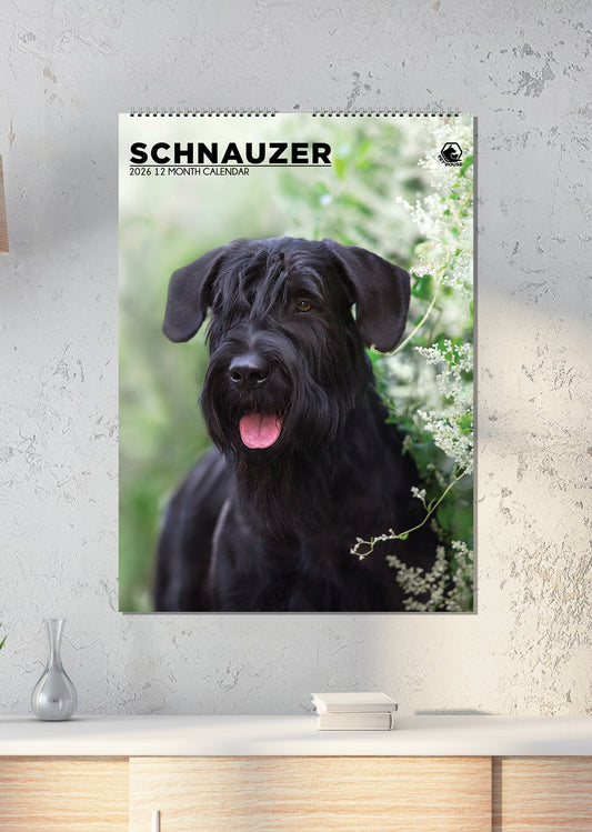 Schnauzer - A3 Calendar 2026