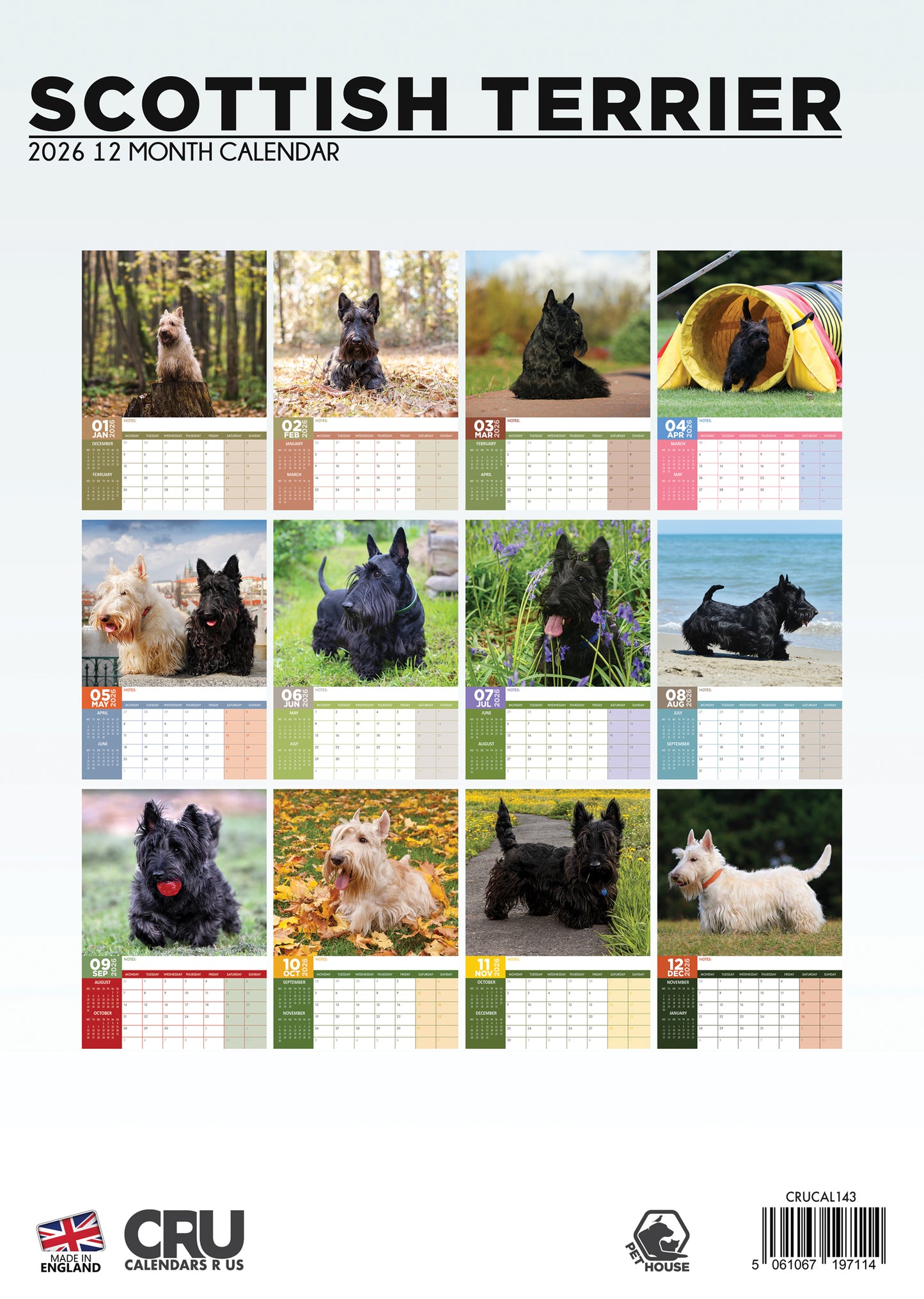 Scottish Terrier - A3 Calendar 2026