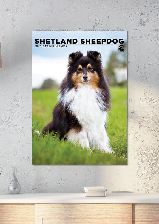 Shetland Sheepdog - A3 Calendar 2027