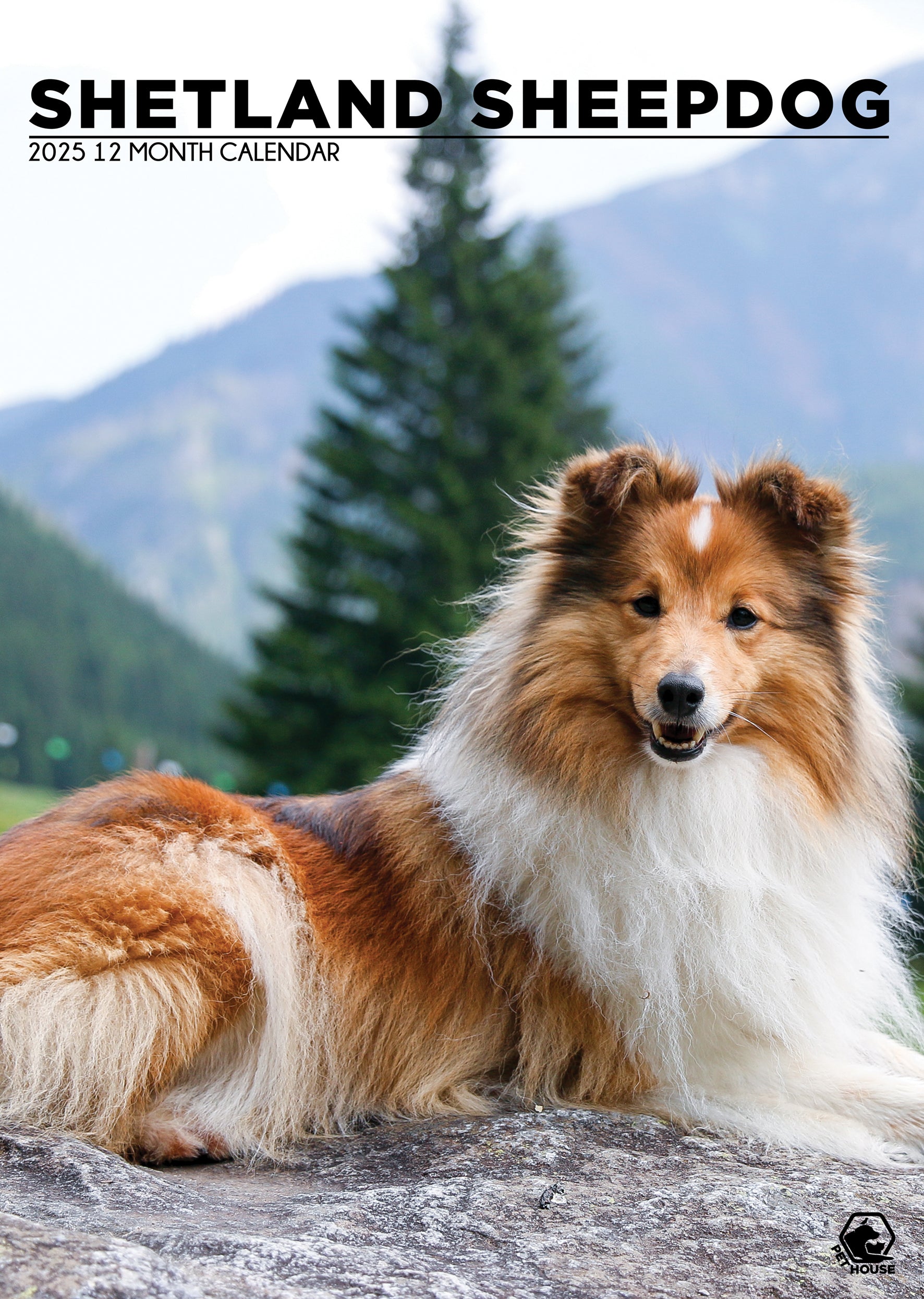 Shetland Sheepdog Calendar 2025 CalendarsRus