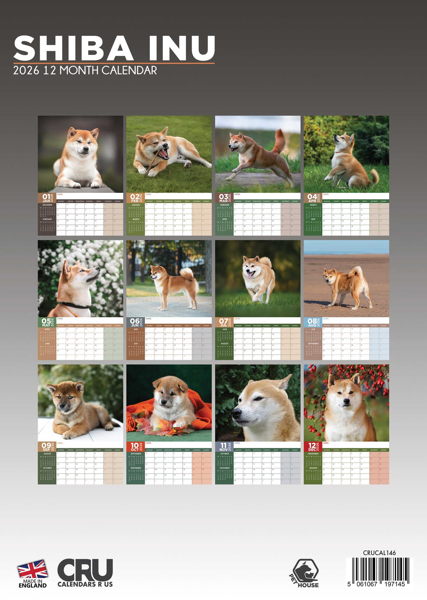 Shiba Inu - A3 Calendar 2026