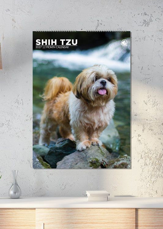 Shih Tzu - A3 Calendar 2027