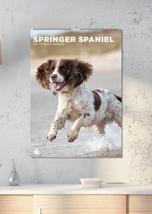 Springer Spaniel - A3 Calendar 2027