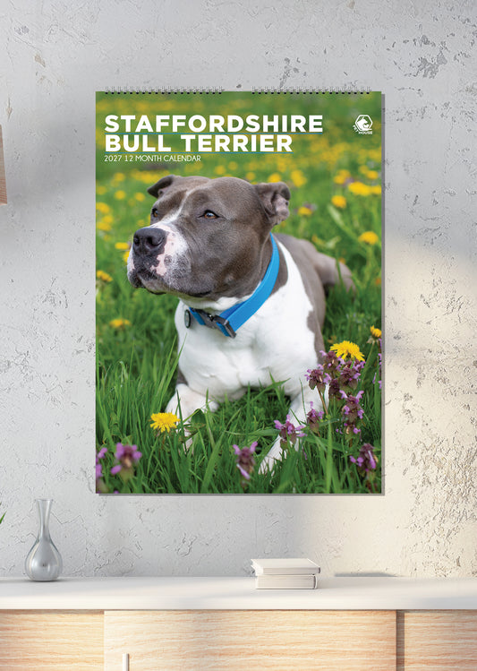 Staffordshire Bull Terrier - A3 Calendar 2027