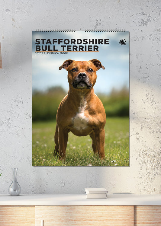 Staffordshire Bull Terrier - A3 Calendar 2026