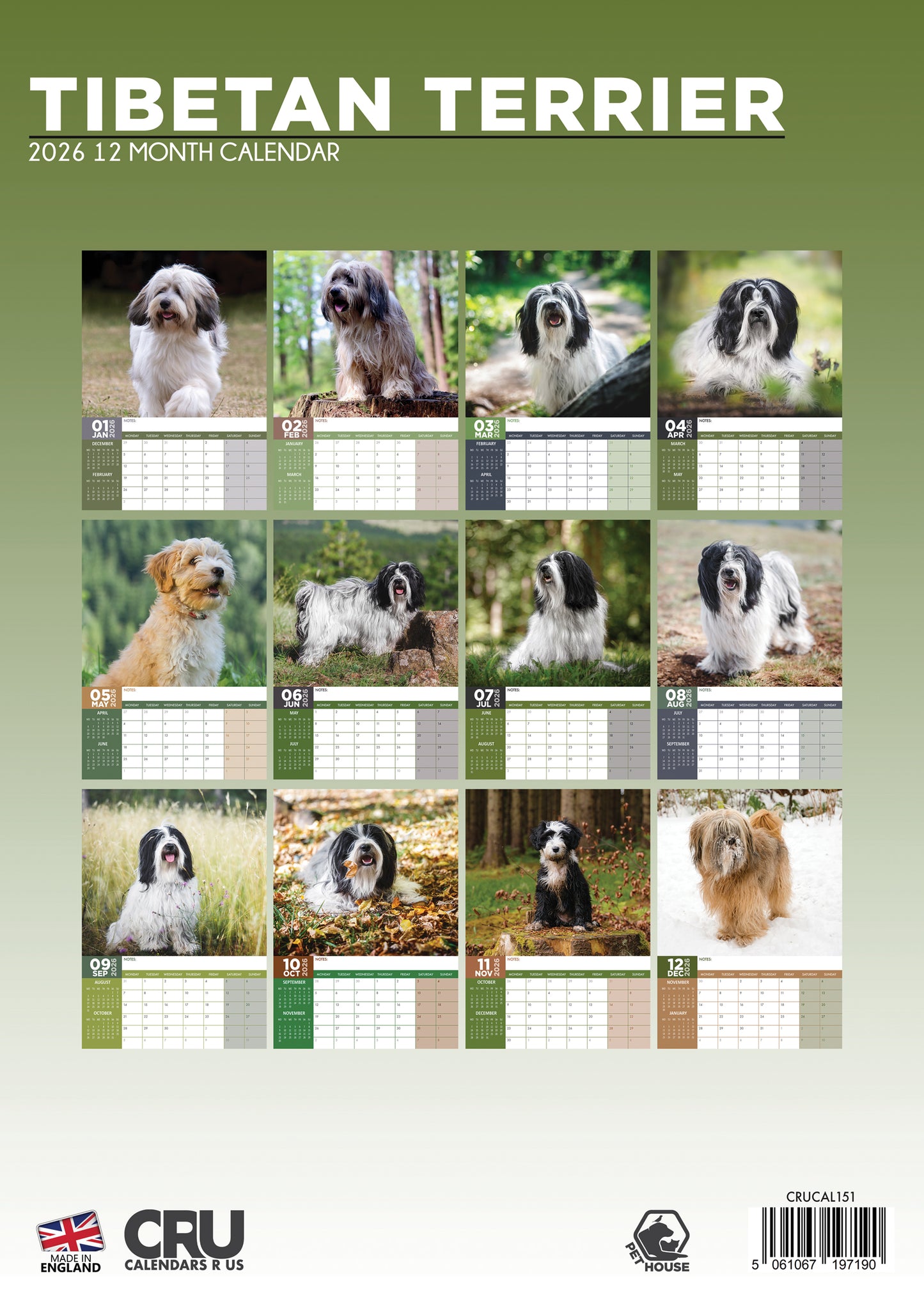 Tibetan Terrier Calendar - A3 Calendar 2026
