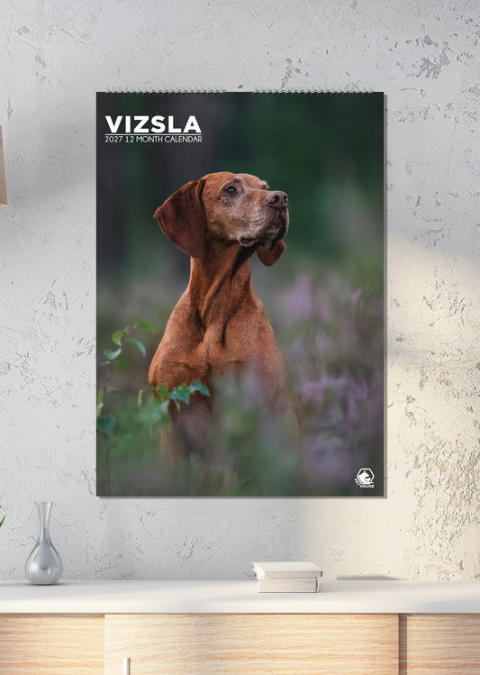 Vizsla Calendar - A3 Calendar 2027