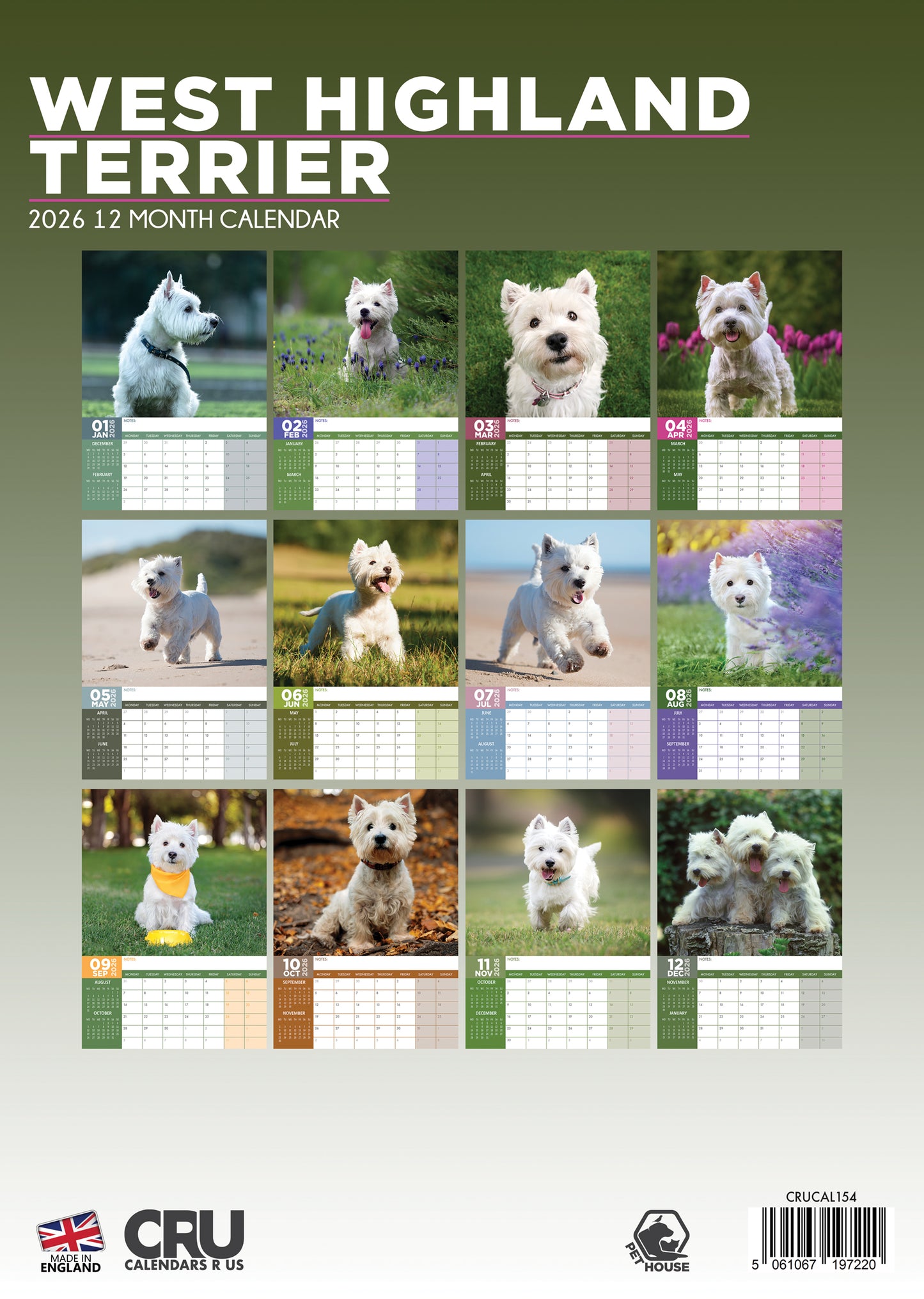 West Highland Terrier - A3 Calendar 2026