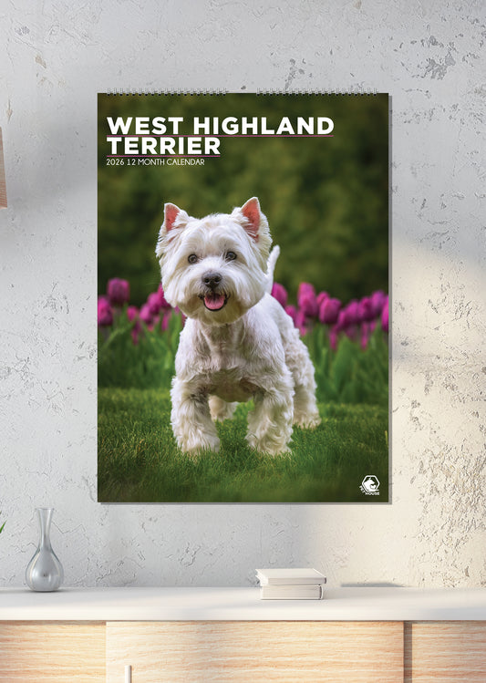 West Highland Terrier - A3 Calendar 2026
