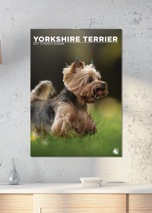 Yorkshire Terrier - A3 Calendar 2027