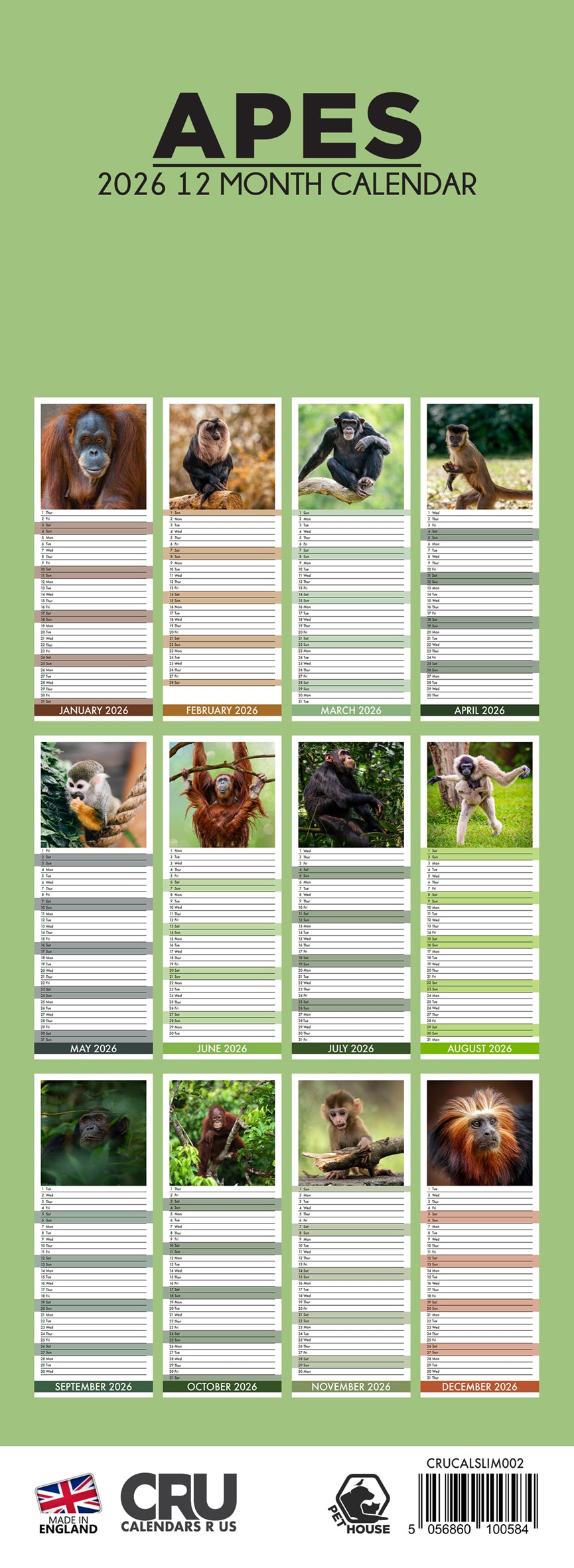 Apes - Slim Calendar 2026