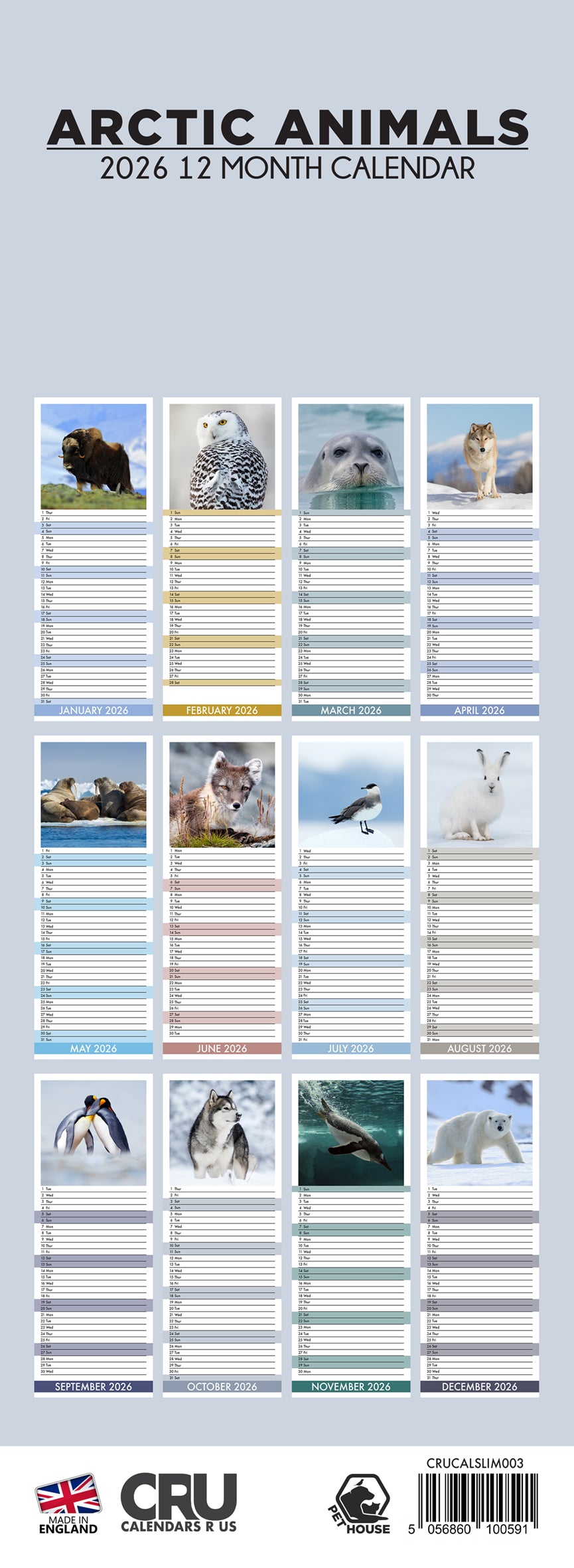 Arctic Animals - Slim Calendar 2026