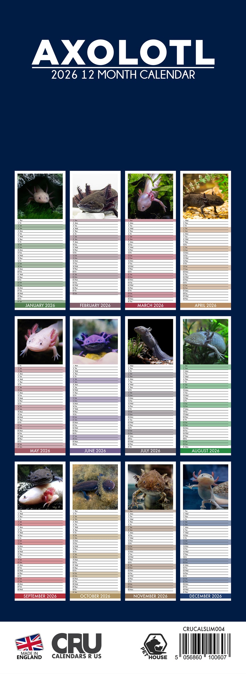 Axolotl - Slim Calendar 2026
