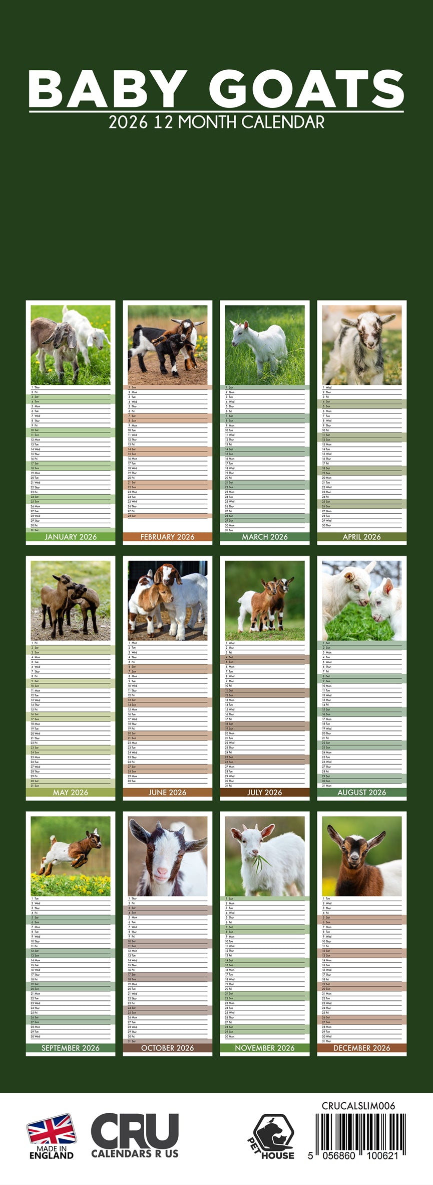 Baby Goats - Slim Calendar 2026