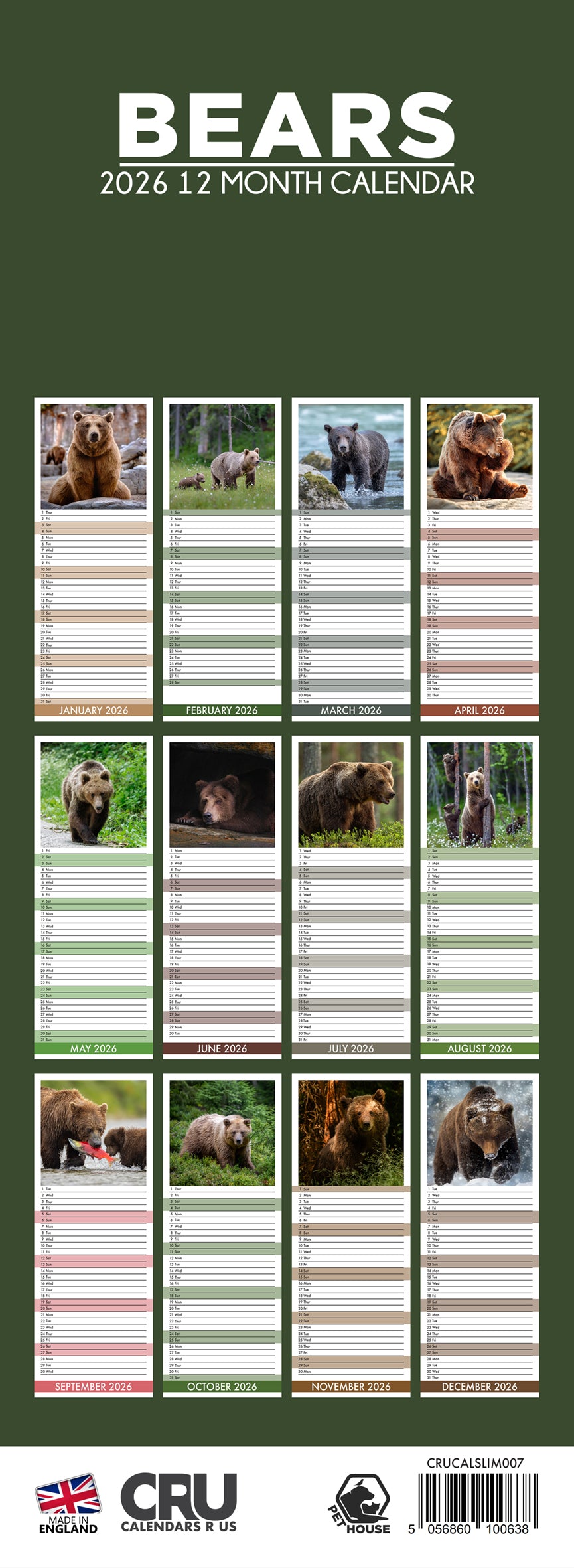 Bears - Slim Calendar 2026