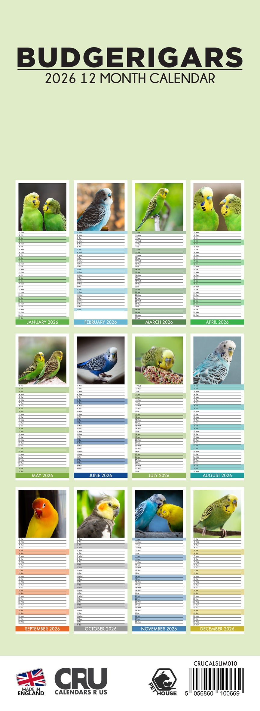 Budgerigars - Slim Calendar 2026