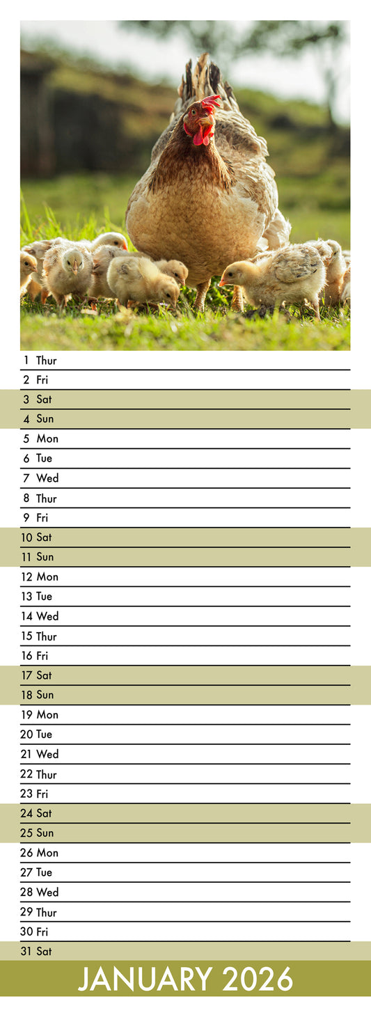 Chickens - Slim Calendar 2026
