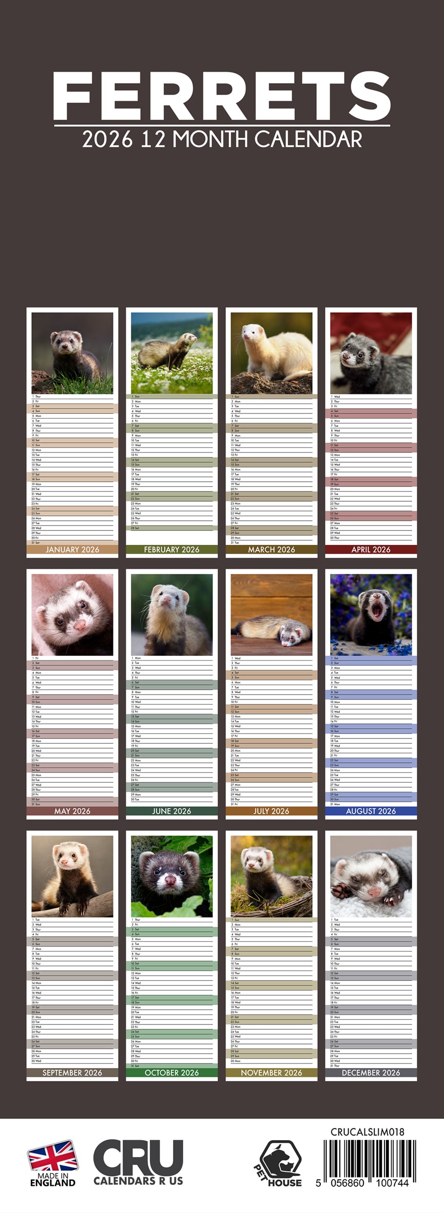 Ferrets - Slim Calendar 2026