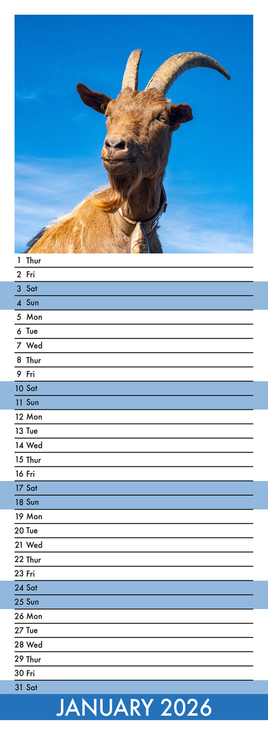 Goats - Slim Calendar 2026