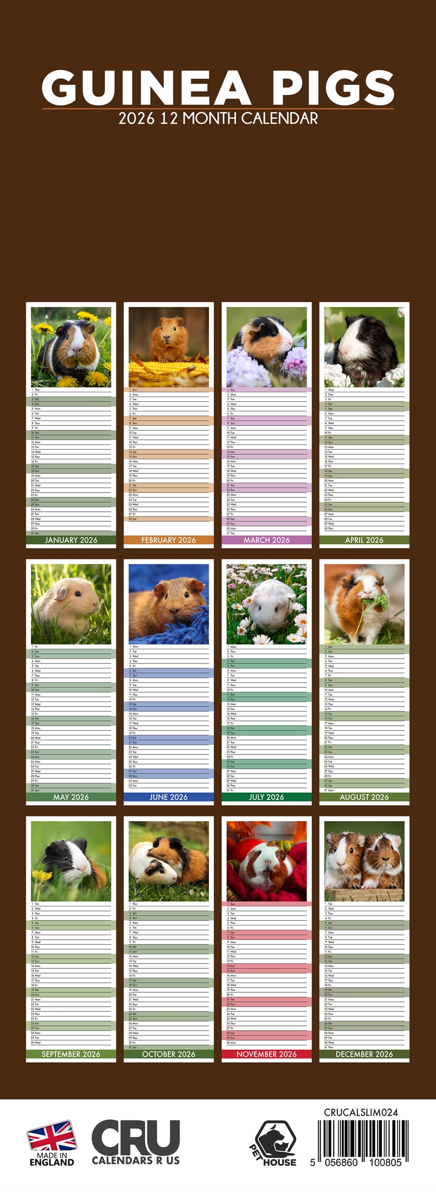 Guinea Pigs - Slim Calendar 2026