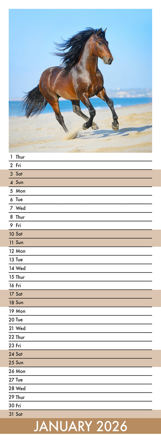 Horses - Slim Calendar 2026