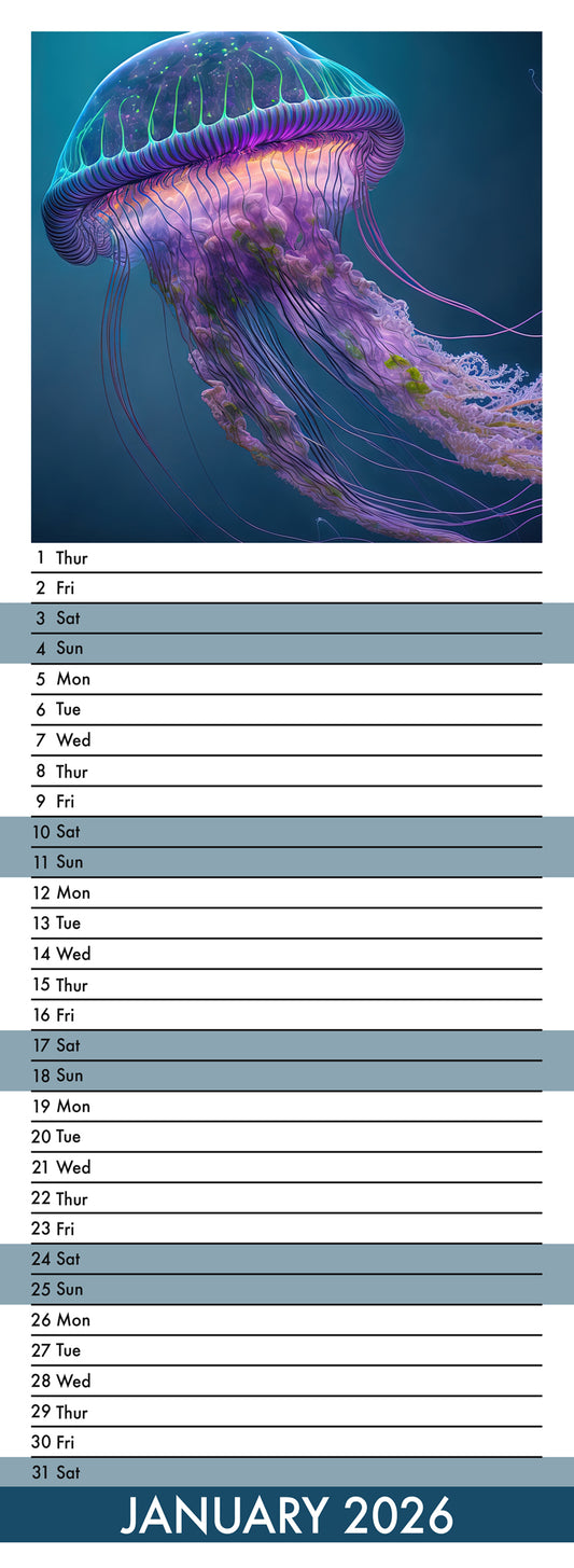 Jellyfish - Slim Calendar 2026