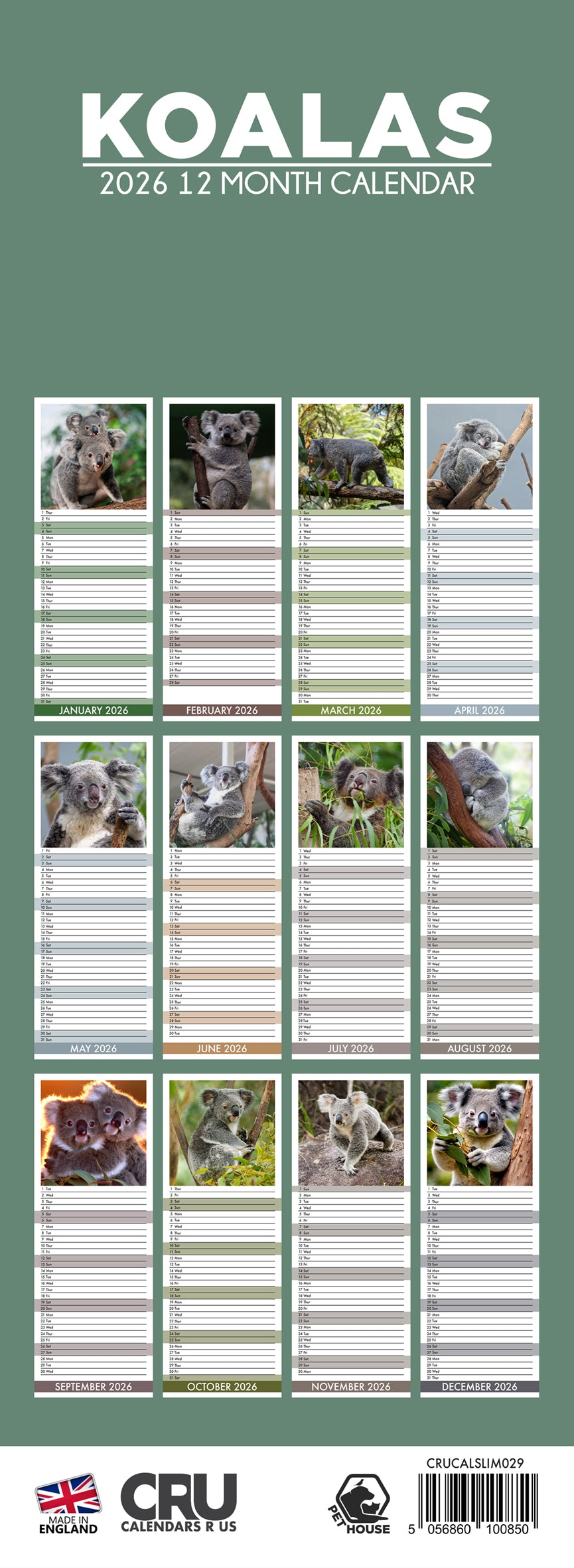 Koalas - Slim Calendar 2026