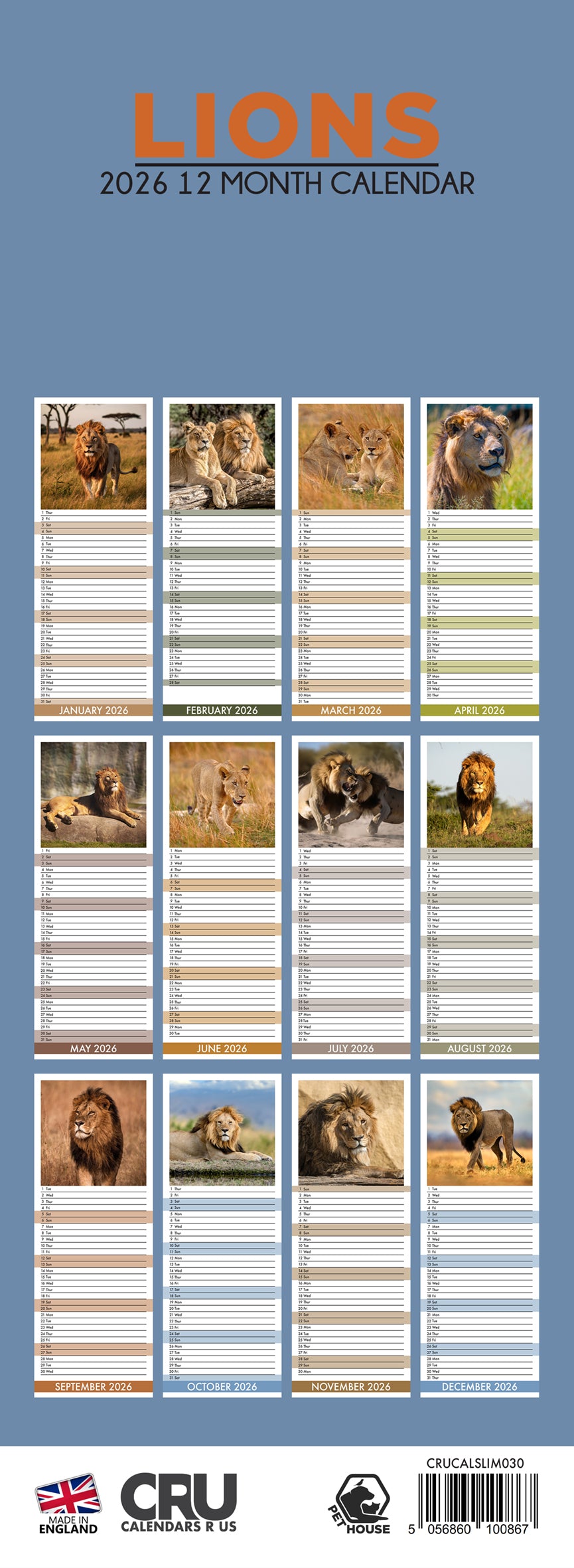 Lions - Slim Calendar 2026