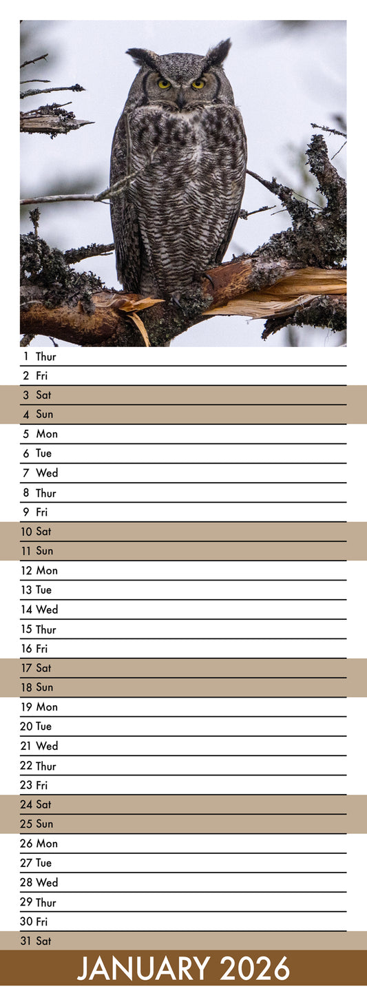 Owls - Slim Calendar 2026