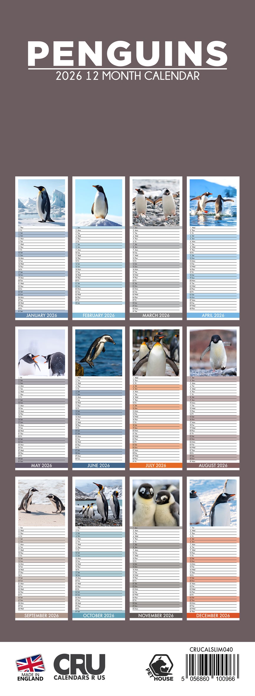 Penguins - Slim Calendar 2026