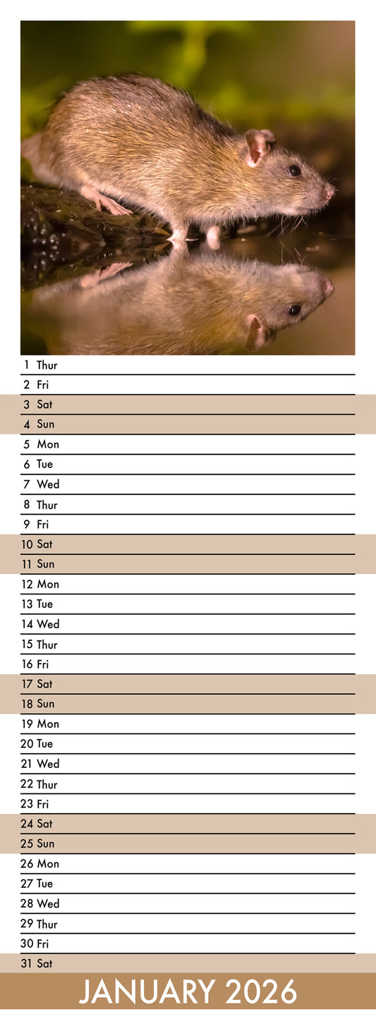 Rats - Slim Calendar 2026