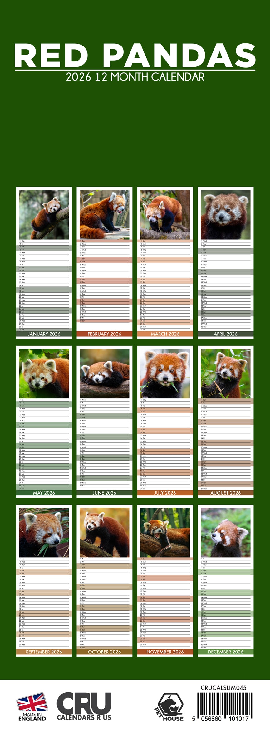 Red Panda - Slim Calendar 2026