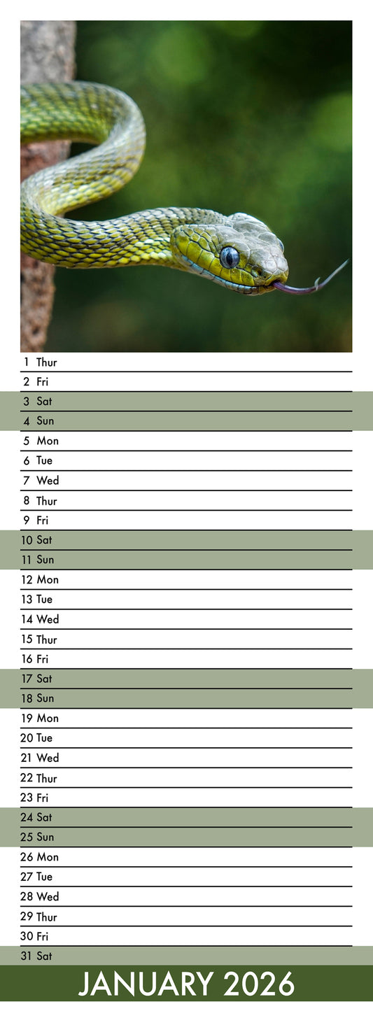 Snakes - Slim Calendar 2026