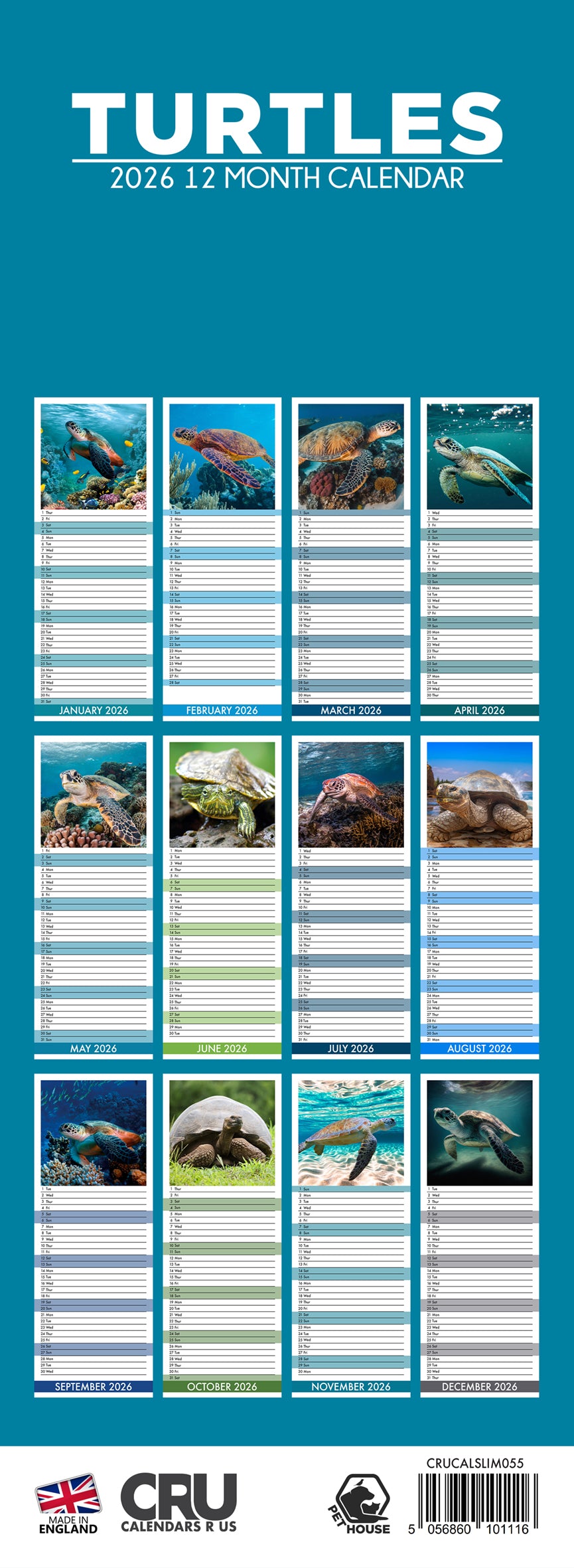 Turtles - Slim Calendar 2026