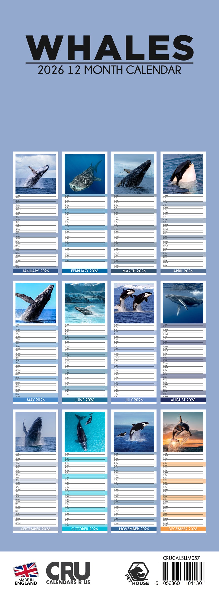 Whales - Slim Calendar 2026