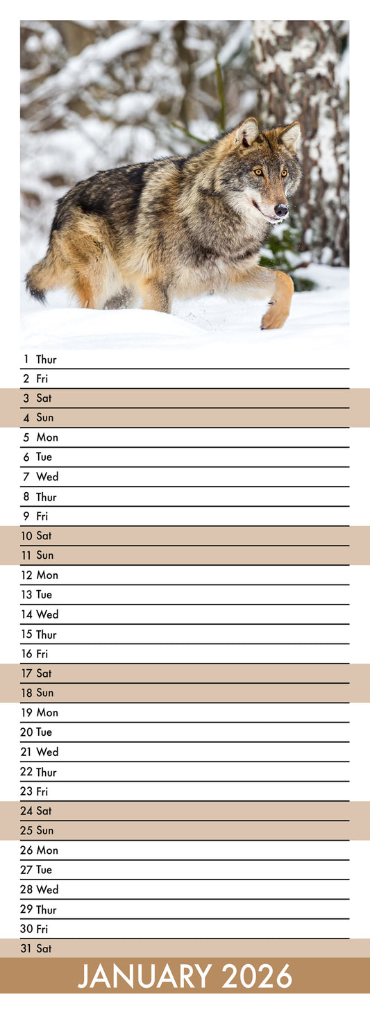 Wolves - Slim Calendar 2026