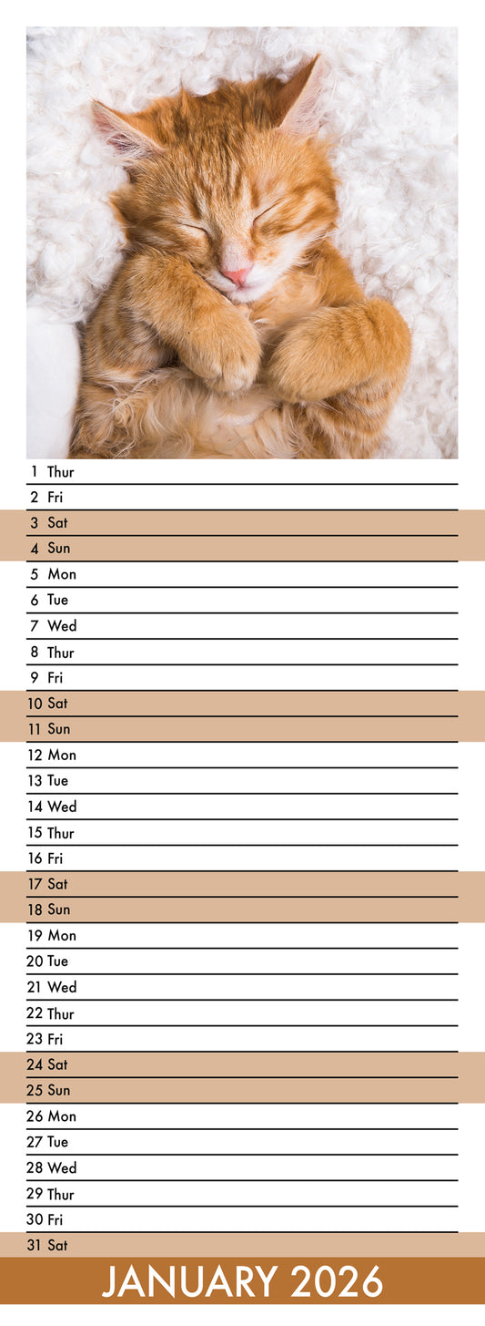 Cat Naps - Slim Calendar 2026