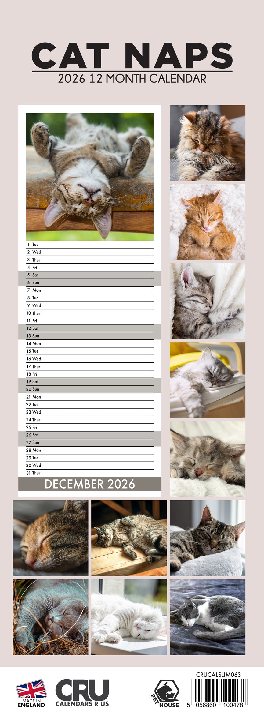 Cat Naps - Slim Calendar 2026