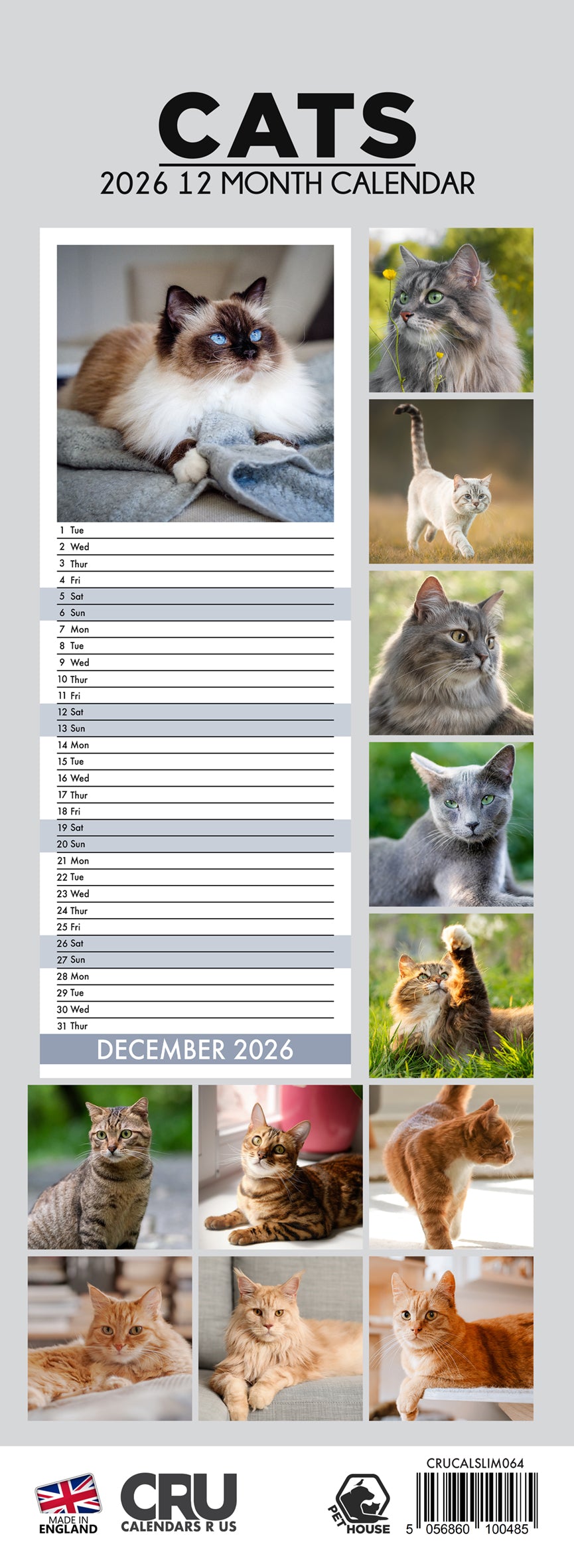 Cats - Slim Calendar 2026
